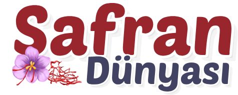 safran dünyası logo1
